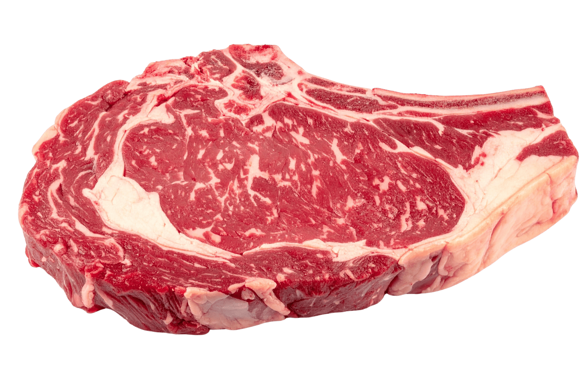 Bistec